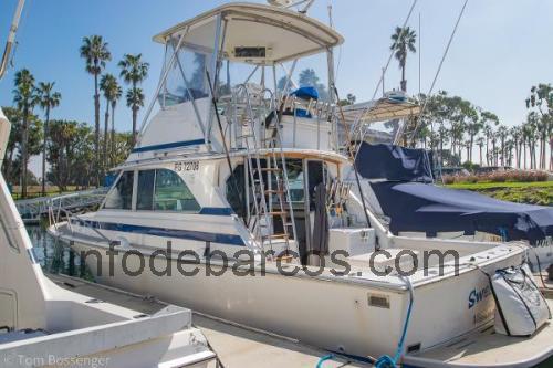 Bertram 35 Convertible opinión y ficha técnica